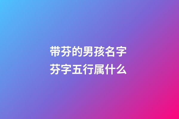 带芬的男孩名字 芬字五行属什么